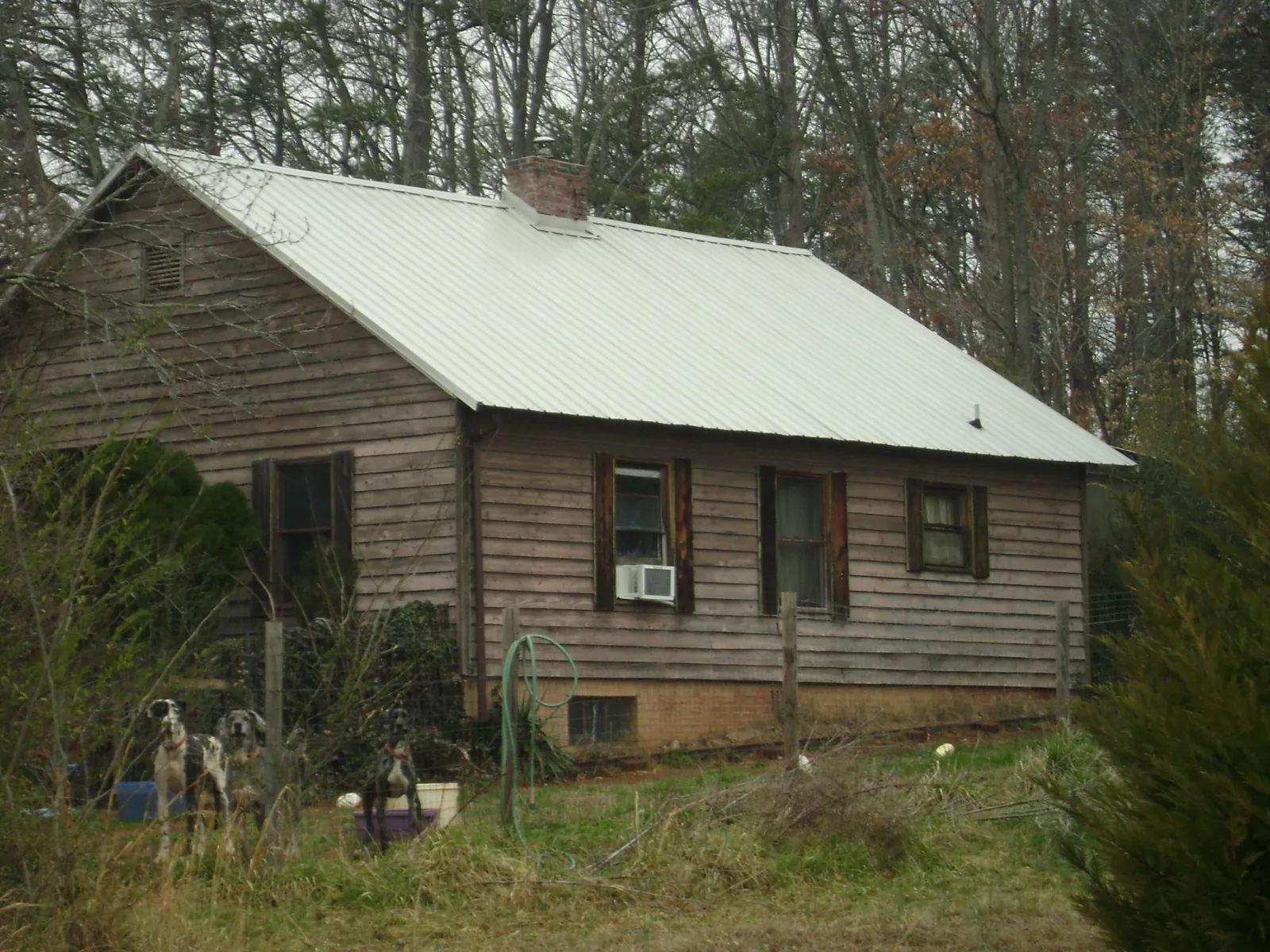 White metal roof on an old wood sided farmhouse, from a Metal Roof Installation job in Saint Ann